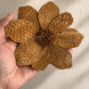 458FC8D1-BD73-4D16-AAC9-945D8F002EA6 Tilapia Leather Flower brooch